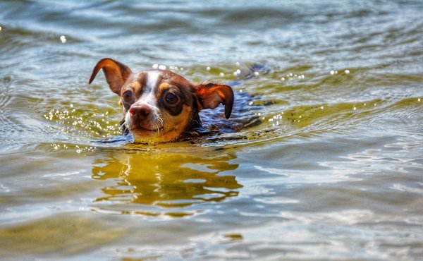 Quelles clés pour débuter en tant que conseiller en retraite ?