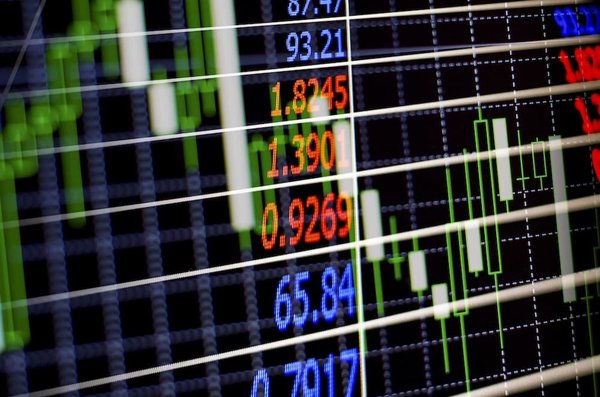 Comment organiser une bourse d'échange de plantes ?