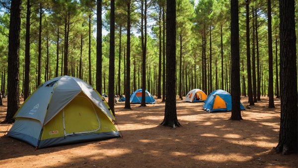 Découverte du camping var : l'artaudois à le pradet